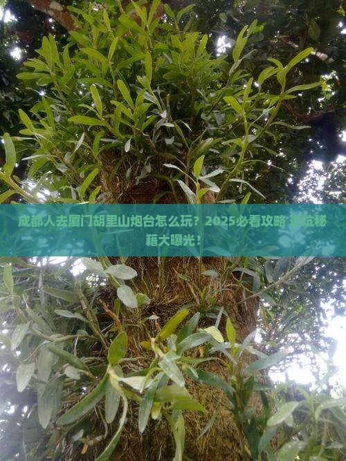 成都去厦门胡里山炮台哪里玩