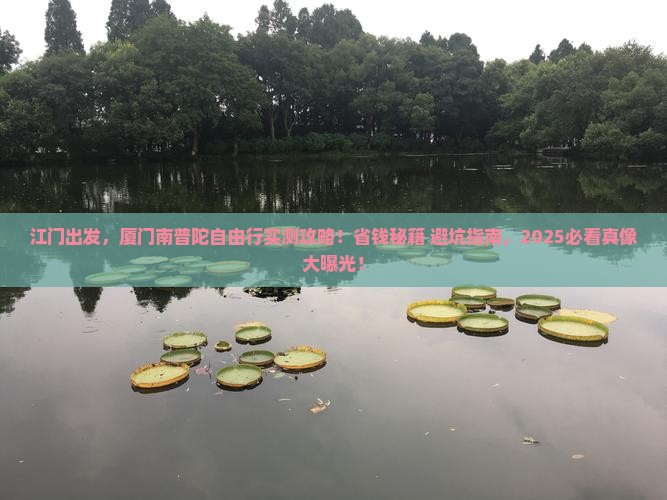 江门去厦门南普陀自由行