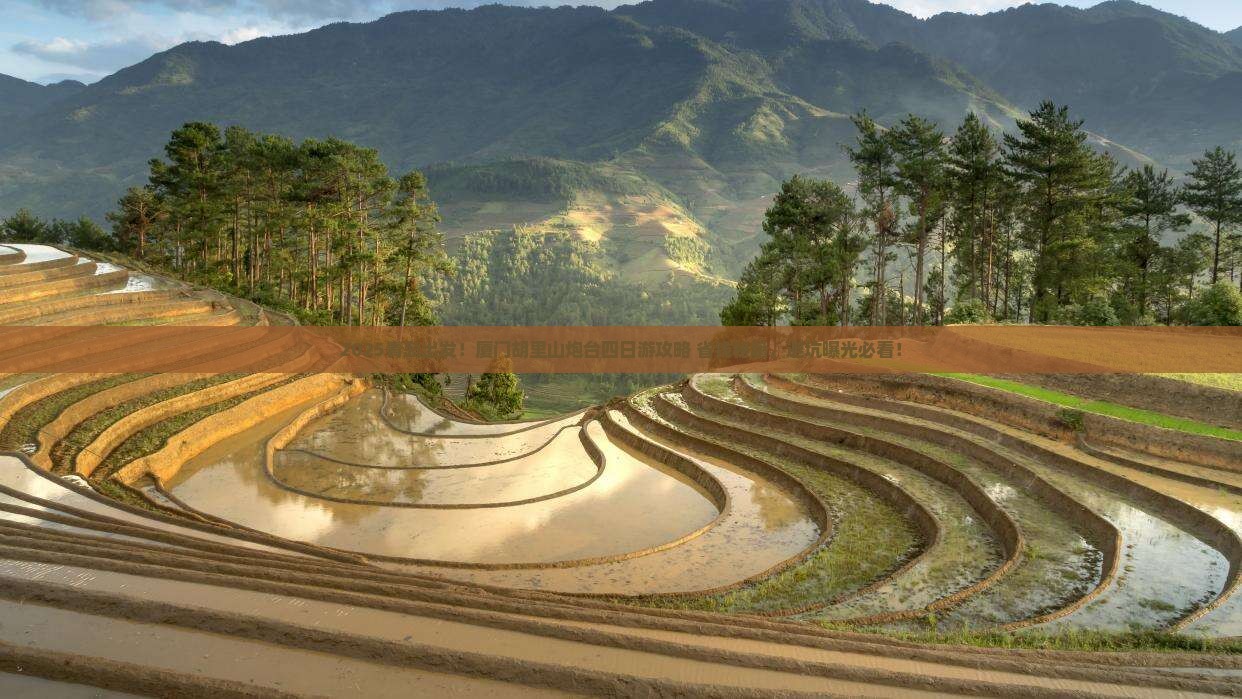 青岛去厦门胡里山炮台四日游