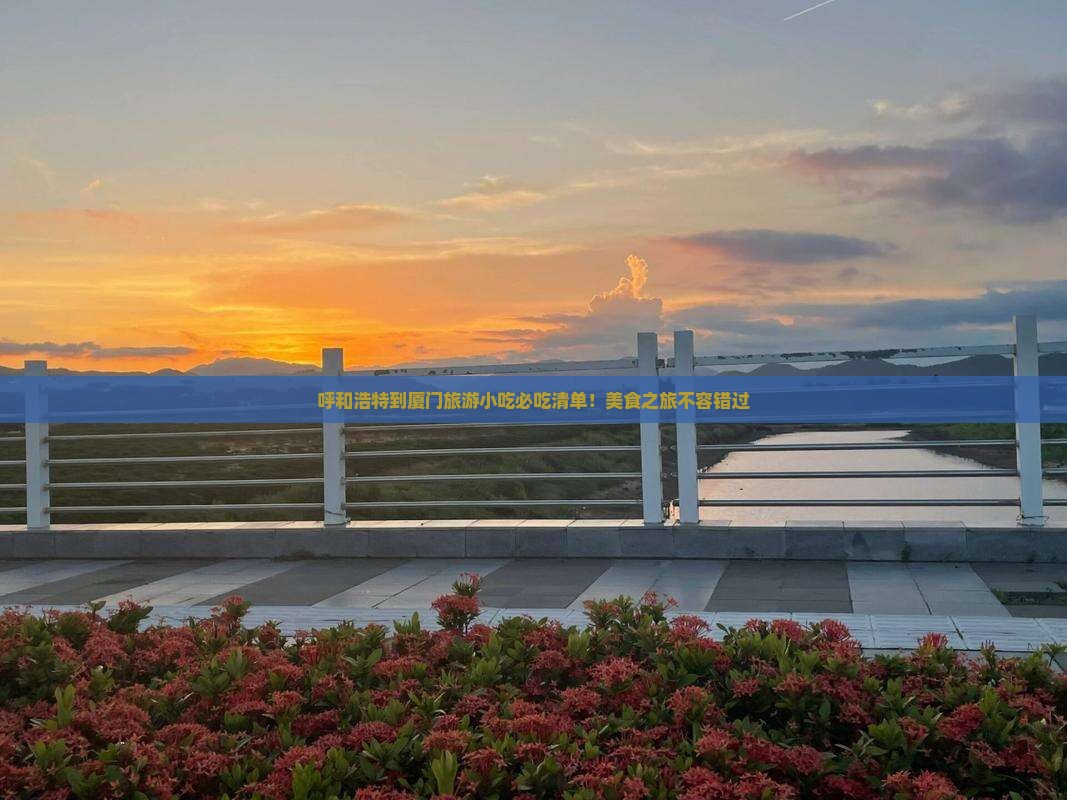 呼和浩特到厦门旅游小吃