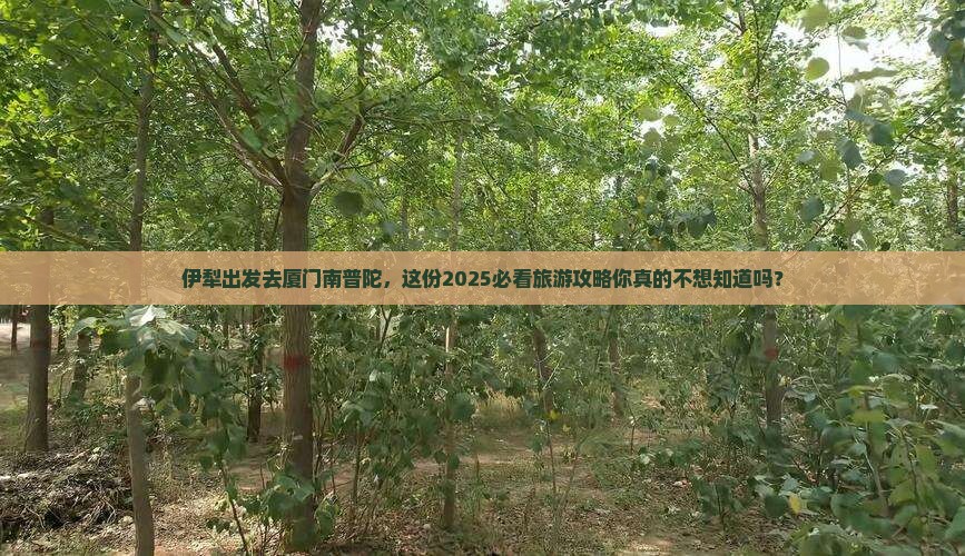伊犁去厦门南普陀大型旅游团