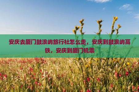 安庆去厦门鼓浪屿旅行社