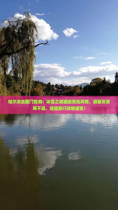 哈尔滨去厦门旅游