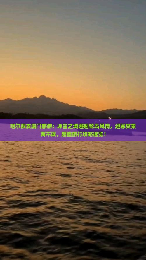 哈尔滨去厦门旅游