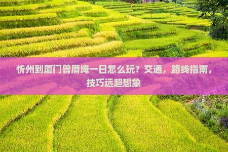 忻州到厦门曾厝埯一日