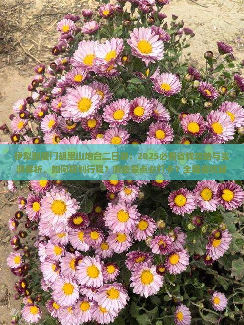 伊犁到厦门胡里山炮台二日游