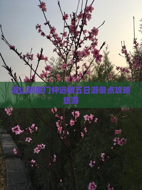 凉山到厦门怀远楼五日游