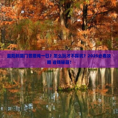 益阳到厦门曾厝埯一日
