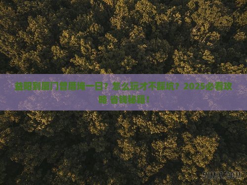益阳到厦门曾厝埯一日