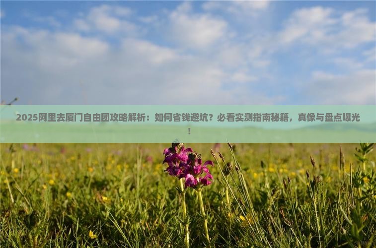 阿里去厦门自由团