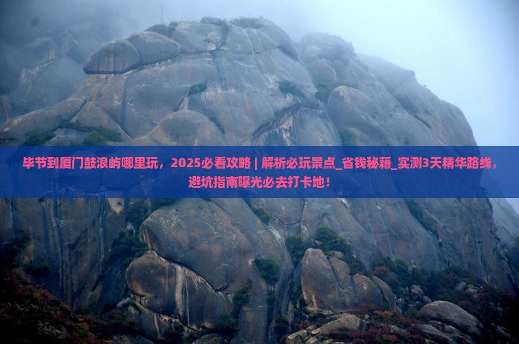 毕节到厦门鼓浪屿哪里玩