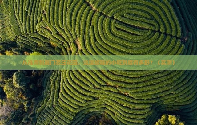 淮南到厦门菽庄花园旅游小吃