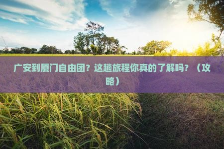 广安到厦门自由团