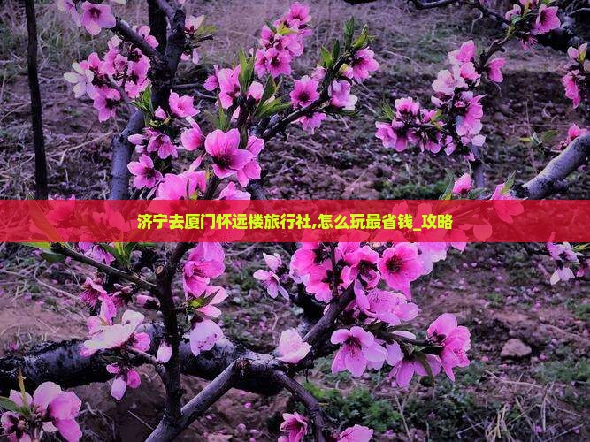 济宁去厦门怀远楼旅行社