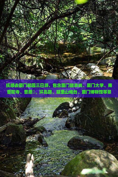 抚顺去厦门毓园三日游