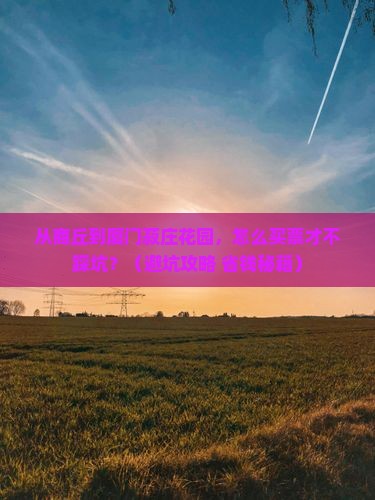 商丘到厦门菽庄花园门票