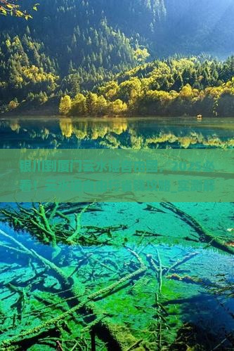 银川到厦门云水谣自由团