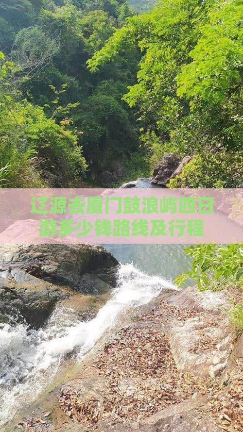 辽源去厦门鼓浪屿四日游