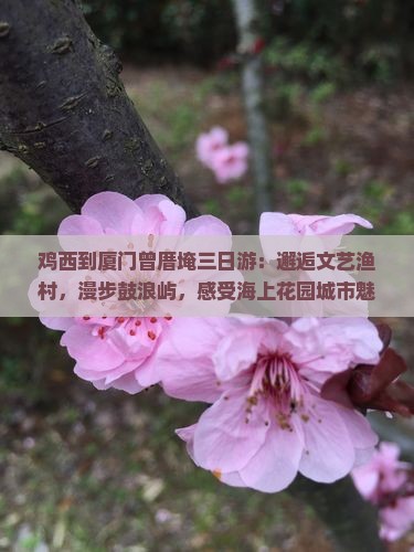 鸡西到厦门曾厝埯三日游