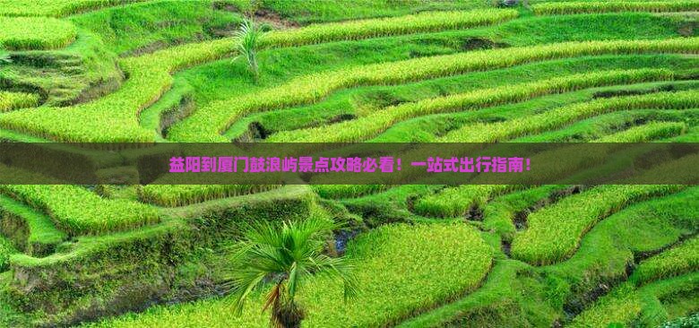 益阳到厦门鼓浪屿景点