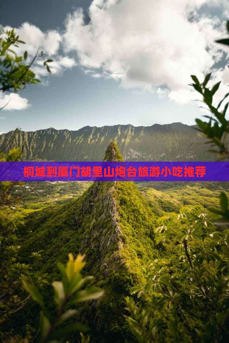 桐城到厦门胡里山炮台旅游小吃