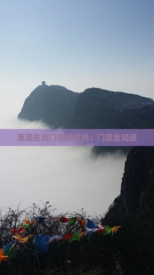 莱芜去厦门门票