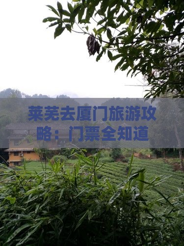 莱芜去厦门门票
