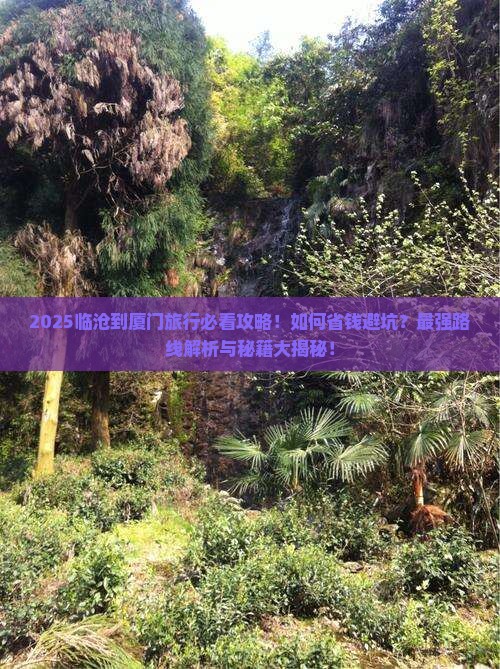 临沧到厦门旅行社
