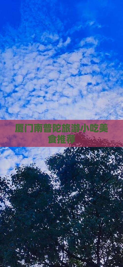 大同去厦门南普陀旅游小吃