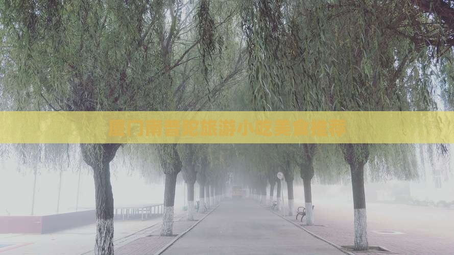 大同去厦门南普陀旅游小吃