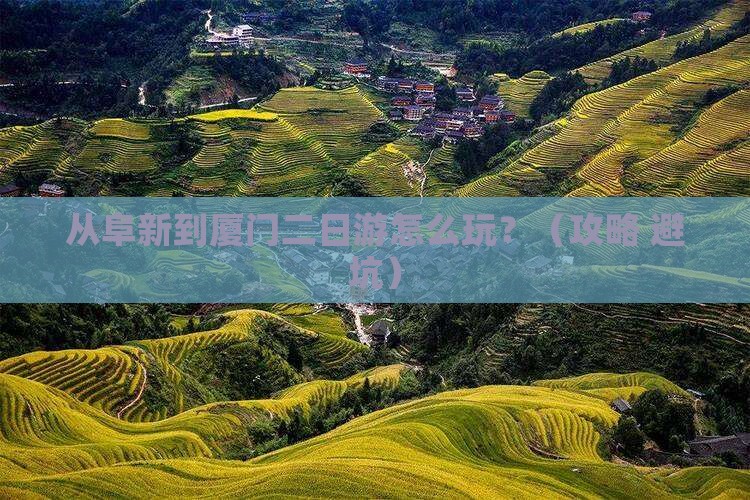 阜新去厦门二日游