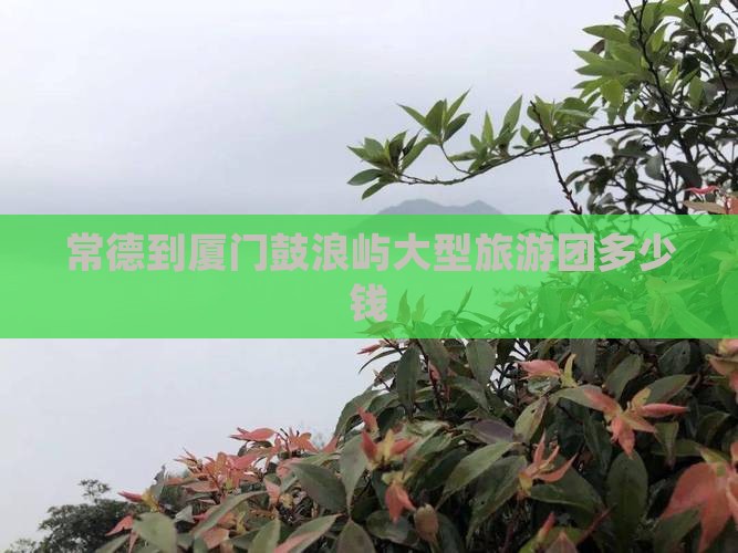 常德到厦门鼓浪屿大型旅游团