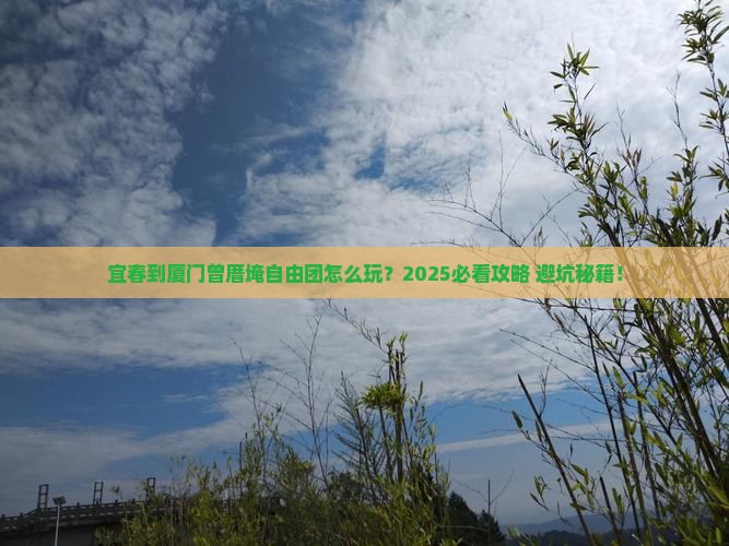 宜春到厦门曾厝埯自由团
