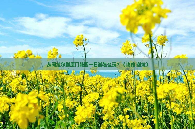 阿拉尔到厦门毓园一日