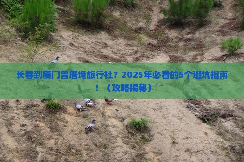 长春到厦门曾厝埯旅行社