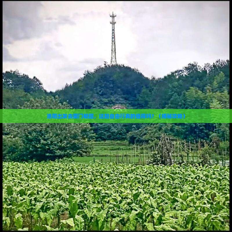 洛阳去厦门毓园自由行