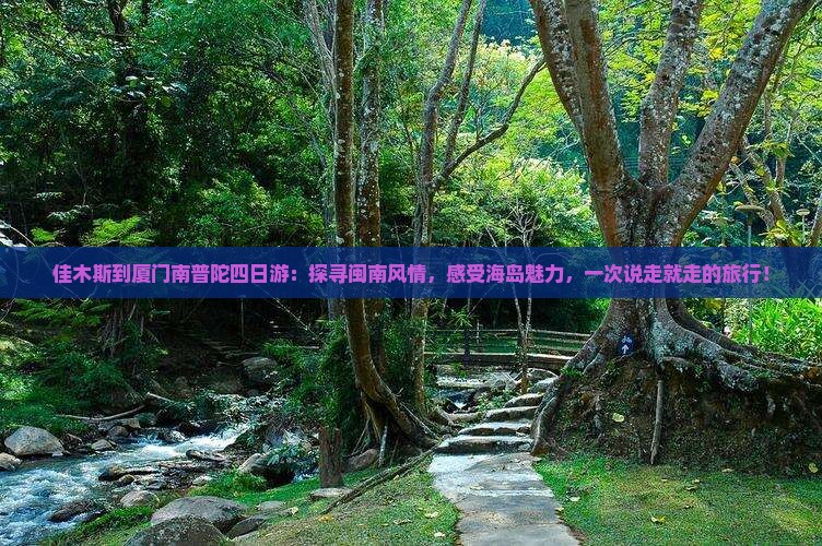 佳木斯到厦门南普陀四日游