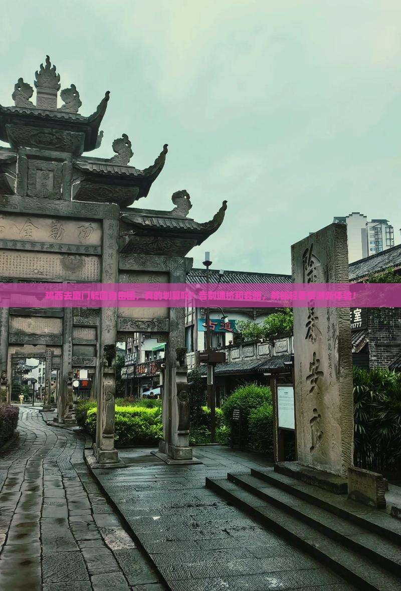 鸡西去厦门毓园自由团