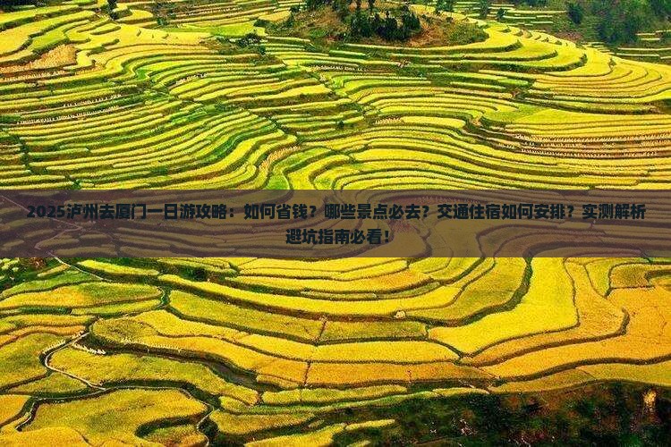 泸州去厦门一日