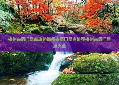 梅州去厦门景点