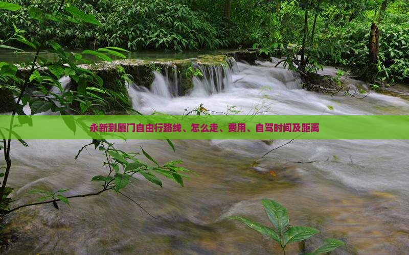 永新到厦门自由行