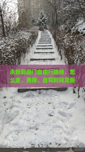 永新到厦门自由行