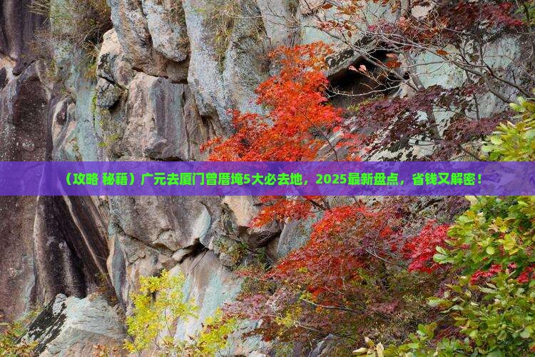 广元去厦门曾厝埯必去地