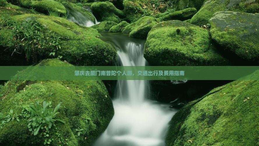 肇庆去厦门南普陀个人游