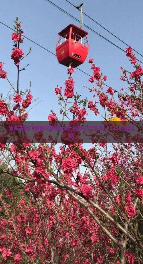汕头去厦门南普陀旅游小吃