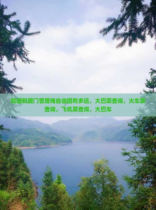 昭通到厦门曾厝埯自由团