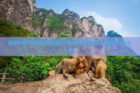 诸城到厦门南普陀五日游