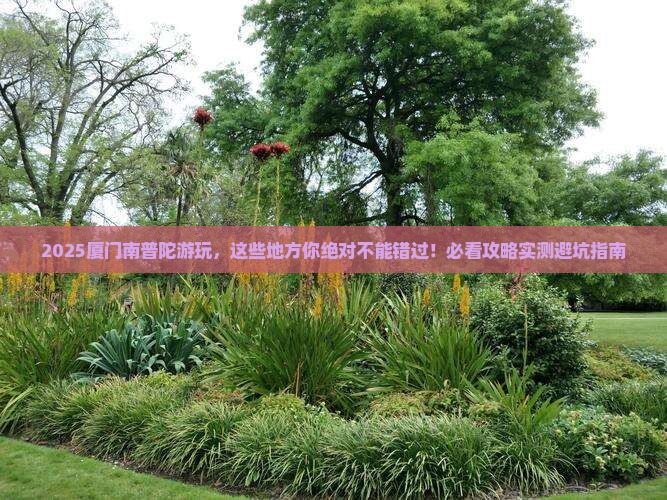 绥化去厦门南普陀必去地