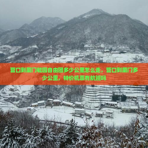 营口到厦门毓园自由团