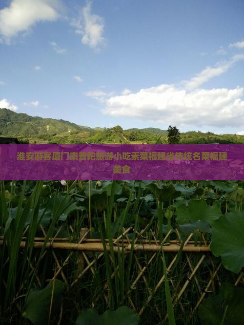 淮安去厦门南普陀旅游小吃